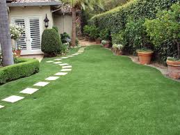 Depending on where you live you will have better luck with some grass varieties than others. Lawn Artificial Grass Realistic Fake Grass For Lawn In Reasonable Price