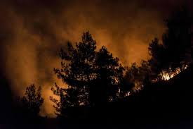 Direktoratet for samfunnssikkerhet og beredskap, tønsberg, norway. Fire Dode I Skogbrann Den Verste Skogbrannen I Kypros Historie Vg