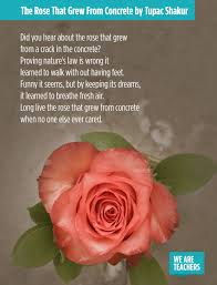 24 Must Share Poems For Middle School And High School Weareteachers Poems For Middle School Middle School Poetry Middle School