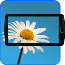 Besides identifying common house plants, leafsnap also does a great job when it comes to distinguishing tree species. Flower Checker Plant Identification Service Android And Ios App Plant Identification App Plant Identification Plants