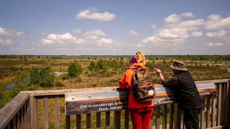 Fenn's Whixall and Bettisfield Mosses NNR - Shropshire's Great Outdoors
