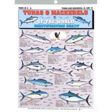 Buy Fishermans Tuna And Mackerel Id Chart 9 In Cheap Price