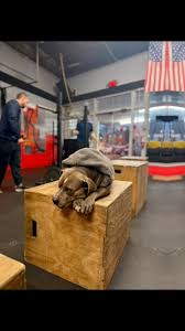 🎥 “Recovery in Action 💪