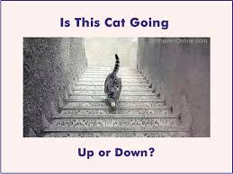 Optical illusions and visual phenomena that challenge perception and perplex the mind. Viral Riddles Is The Cat Going Up Or Down Bhavinionline Com