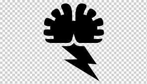 Bookbrain stem nuclei / localisation of the brainstem nuclei : Brainstem Png Images Klipartz