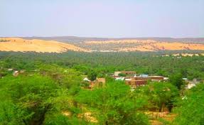 Résultat de recherche d'images pour "‫صور مبنى ولاية لعصابة‬‎"