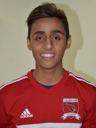 Meet the 2017 All-Enquirer boys soccer team