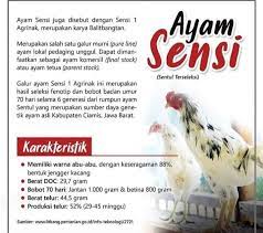 We did not find results for: Mitra Kampung Unggul Posts Facebook