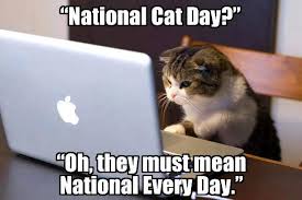 Utahgirlsloveyou Cats National Cat Day Cat Memes