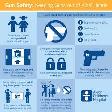 Image result for Gun Safety