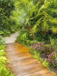 un jardin tropical sur l ile d oleron jardin tropical jardin paysager tropical jardins