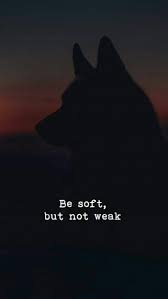 40 Funniest Inspirational Quotes Best Funny Memes Images Positive Sitater Sitater Ordtak