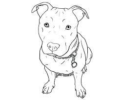 You can use our amazing online tool to color and edit the following pitbull dog coloring pages. Pin On Colorear