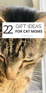 23 Cat Lovers Gifts Handmade Gift Ideas For Cat Moms And Dads In 2020 Cat Mom Cat Dad Gifts Funny Cat Gifts