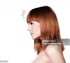 1,519 Jonathan Bang Stock Photos, High-Res Pictures, and Images