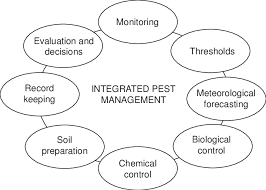 This course provides the continuing education training required before recertifying an operator or field representative license in category 2: Integrated Pest Management Scheme Download Scientific Diagram