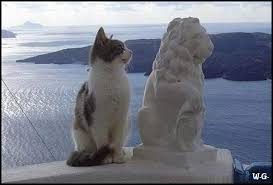 Resultado de imagem para uma imagem vale mais do que mil palavras