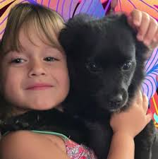 Is a wobbling harmonic balancer a problem in a lowrider vehicle?