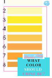 what color should urine be bladder help