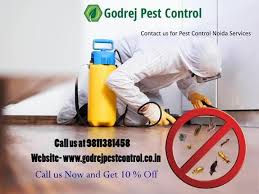 Find opening hours for pest control near your location and other contact details such as address, phone number, website. Contact Us For Pest Control Noida Services 9811381458 Termite Control Pest Control Insect Control