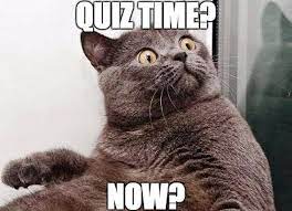 Many were content with the life they lived and items they had, while others were attempting to construct boats to. Quiz Memes