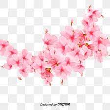 Simple Material For Cherry Blossoms In Pink Realistic Cartoon Spring Festival Cherry Blossom Clipart Cartoon Aestheticism Png Transparent Clipart Image And P Cherry Blossom Background Realistic Cartoons Cherry Blossom