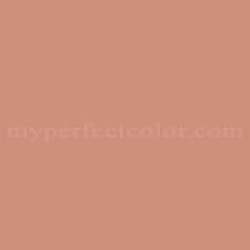 What colour is a salmon's flesh? British Standard Colours Bs443 Salmon Pink Precisely Matched For Spray Paint And Touch Up