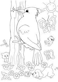 coloriage printemps pivert vintage coloring books bird pages pattern dragon