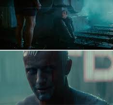 Question of the Week: What's your favorite film(s)