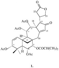 Image result for Entandrophragma delevoyi