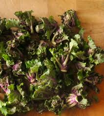 Sprouting is a healthy process of making optimum use of seeds. Flower Sprouts Mit Tahini Joghurt Dressing Gabriele Kalmbach
