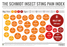 What Is The Schmidt Sting Pain Index Perry Ponders
