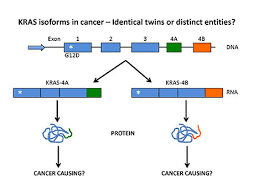 They can simply reach out to the federal grants'. Active Grants Cancer And Cell Aging Platform Center For Biomedical Discovery Mayo Clinic Research
