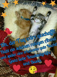 Gute Nacht Nikolaustagbilder Gute Nacht In 2020 Gute Nacht Gute Nacht Grusse Nacht