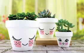 Display flowers easily and affordably with wholesale flower pots and planters from dollardays. Blushing Flower Pot