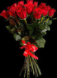 We did not find results for: Pin By Selma On Rosen Video Beautiful Rose Flowers Love Flowers Beautiful Flowers