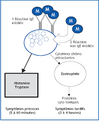 Learn who's at risk, what to watch for and what to do when it occurs. Anaphylaxie Medicamenteuse Pas A Pas En Pediatrie