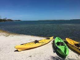 Maybe you would like to learn more about one of these? Pinellas Kayak Rentals St Petersburg 2021 All You Need To Know Before You Go Tours Tickets With Photos Tripadvisor