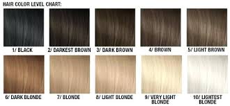 Blonde Hair Chart Silkscreening Me