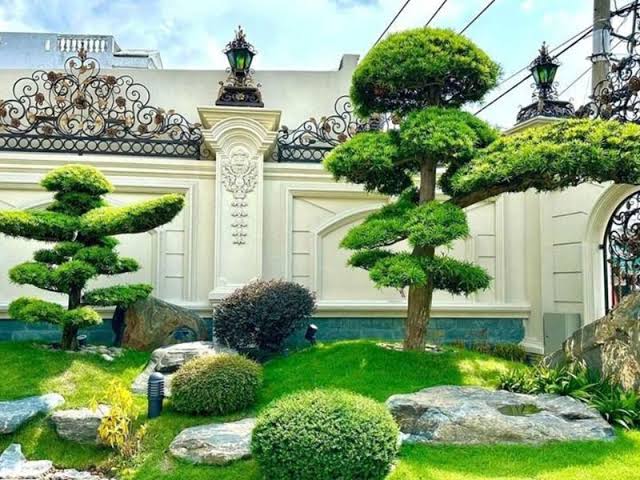 8+ Mẫu thiết kế sân vườn tiểu cảnh ấn tượng cho không gian