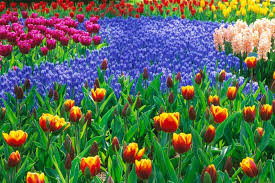 Maybe you would like to learn more about one of these? Beautiful Garden Wallpaper Photo