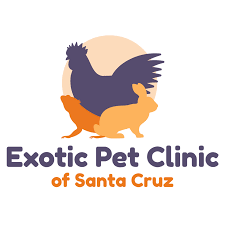 Find a pet insurance plan that works for you and your pet. Exotic Pet Clinic Of Santa Cruz Scotts Valley Ca 95066 Veterinarian