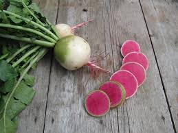 20 Types Of Radishes For Containers Best Radish Varieties