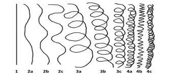 Il tipo 1 è capelli lisci, il tipo 2 è capelli mossi, il tipo 3 è . Dimmi Che Riccio Hai E Ti Diro Chi Sei Scopriamo Le Tipologie Di Riccio