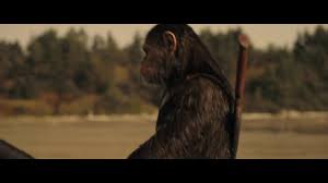 Planeta maimuţelor 2001 online subtitrat in romana de actiune, aventura, sf 2001 ,regizat de tim burton. Planeta Maimutelor Razboiul Youtube