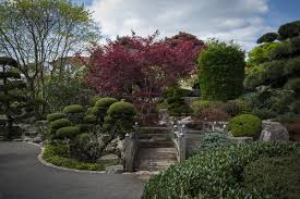 See all things to do. Japanischer Garten See Park Freiburg Fabrizio Foto Freiburg