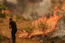 1 day ago · el humo de incendios forestales agrava la pandemia por coronavirus. Seis Muertos Por Incendios Forestales En Turquia Dos Bomberos Entre Ellos Noticias Agencia Peruana De Noticias Andina