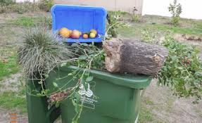 In this area rubbish bins are collected one week and recycling and garden waste bins collected the following week. Green Bin Recycling