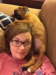 can someone make pictures of my dying pet?