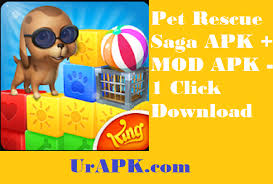 So, which states allow for raccoon domestication? Download Pet Rescue Saga Apk